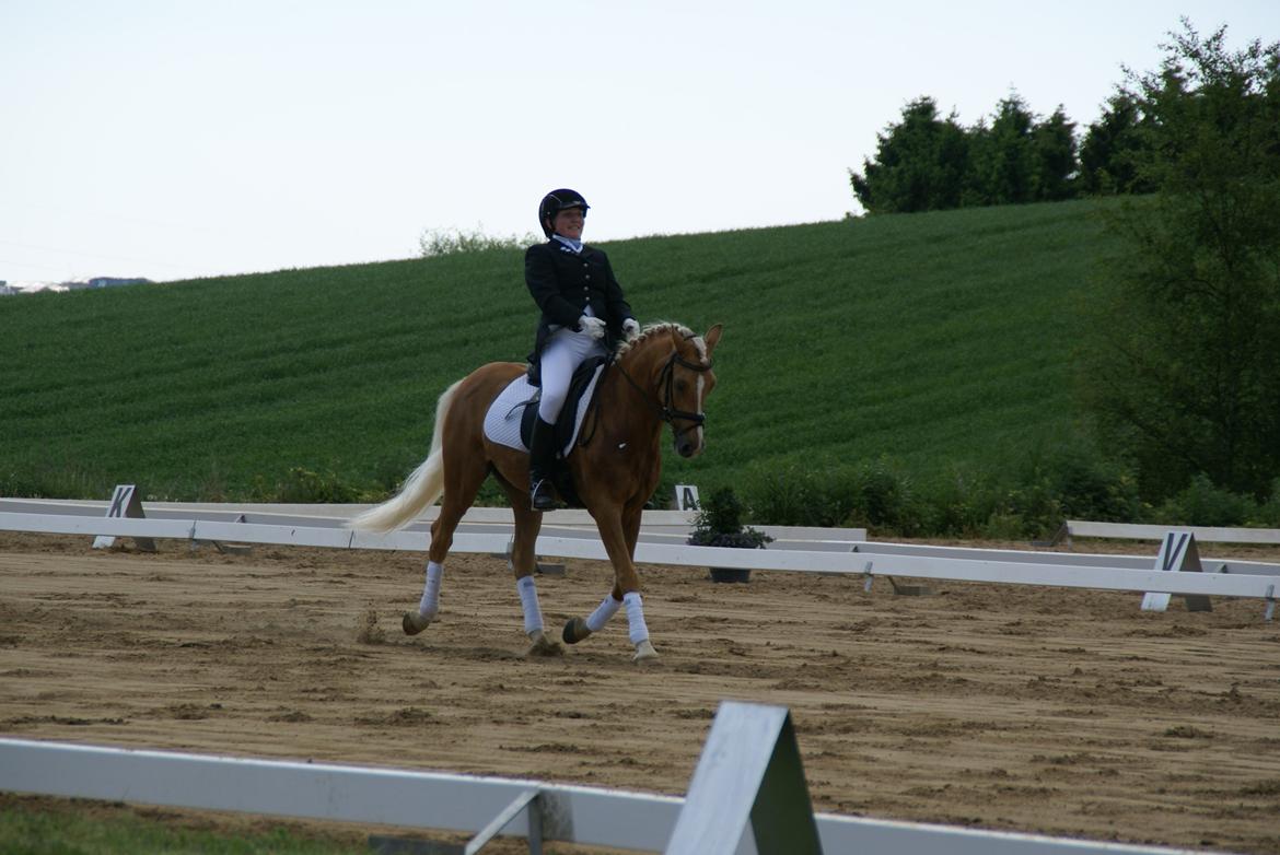 Højfyns Rideklub  Pinsen 2012 billede 123