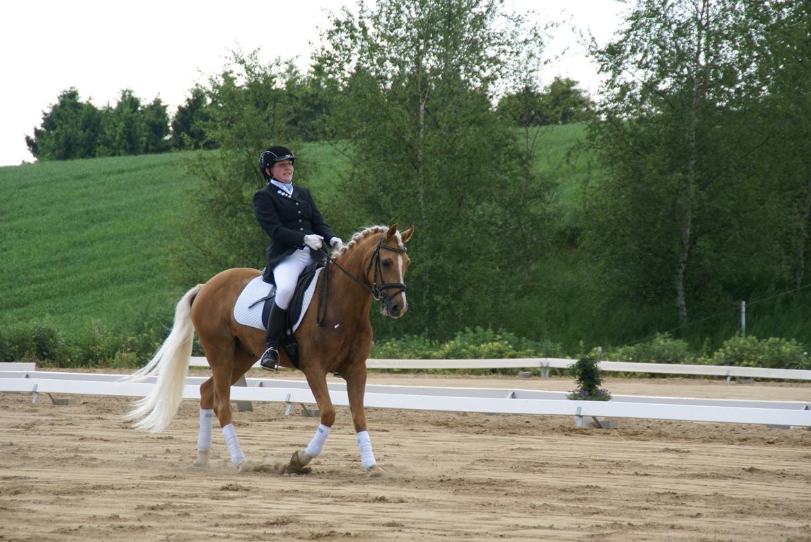 Højfyns Rideklub  Pinsen 2012 billede 126