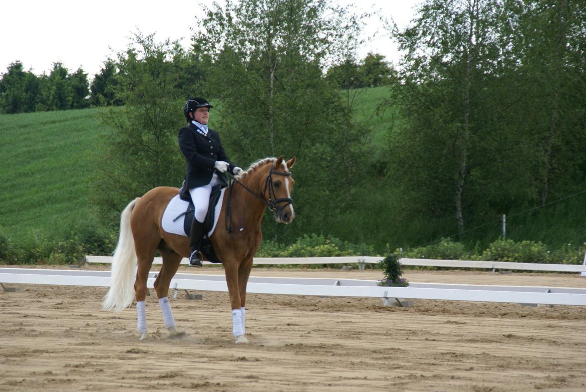 Højfyns Rideklub  Pinsen 2012 billede 127