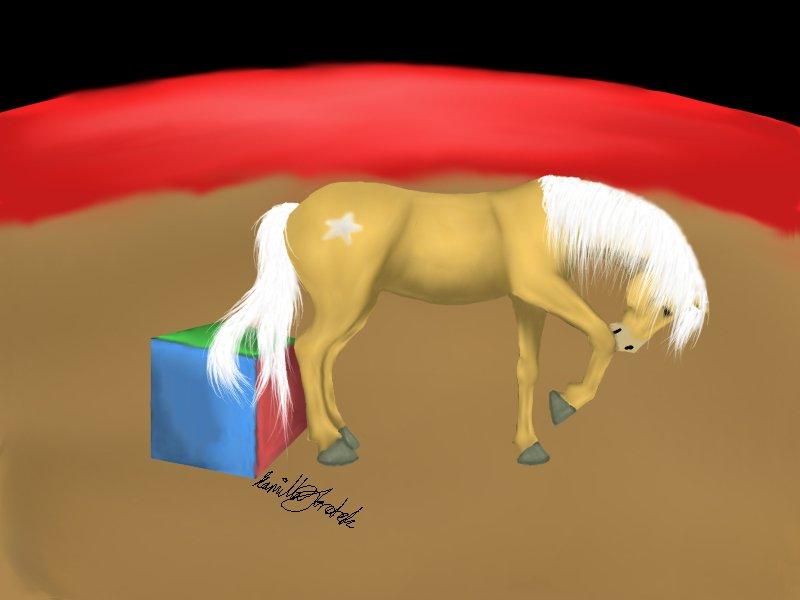 Mine hestetegninger på computeren :) - Det er meningen, at det skulle ligne en cirkushest, men gad ikke rigtigt tegne tilskuerne i baggrunden^^ Han hedder Playboy, men har ikke skrevet navnet på tegningen:) billede 46