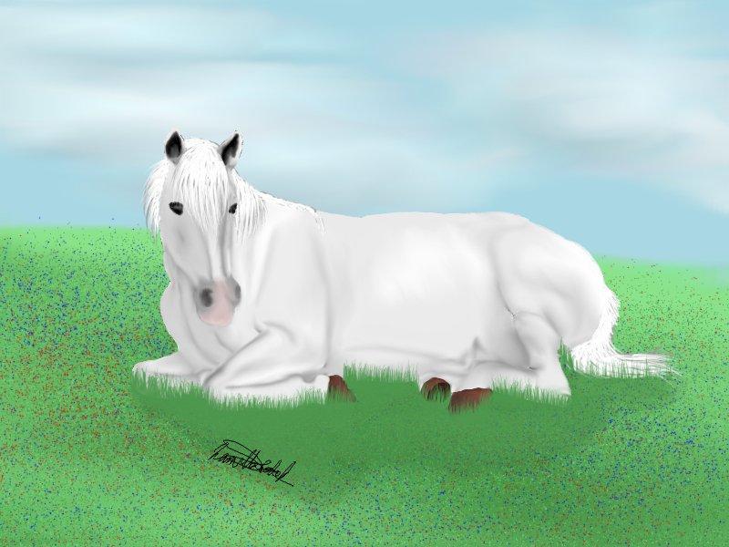 Mine hestetegninger på computeren :) - Dunja!
Dunja kan findes herinde på HG. Jeg har masser af billeder af hende og har valgt at tegne et af dem. Resultatet blev da meget godt??:) billede 47