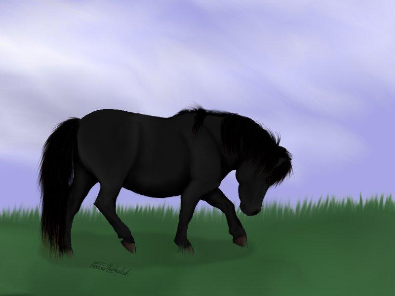 Mine hestetegninger på computeren :) - Flicka!
Flicka kan findes her inde på HG Jeg har taget nogle billeder af hende, og har valgt at tegne et:) billede 48