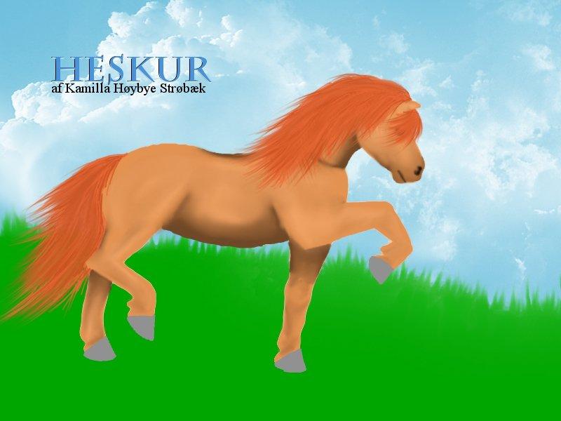 Mine hestetegninger på computeren :) - Heskur er en islænder jeg tegnede for meget lang tid siden, men som jeg har glemt alt om. Har så fundet ham frem og lagt ham ud. Synes det er meget godt tegnet, da jeg ikke er vant til at tegne islændere:) billede 49