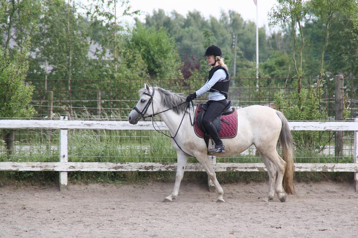 Tømmerup Sportsrideklub billede 52