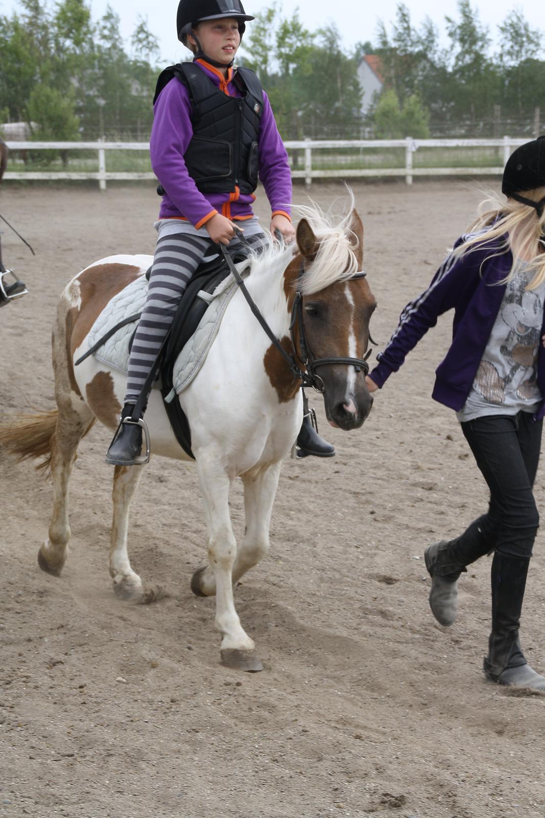 Tømmerup Sportsrideklub billede 53