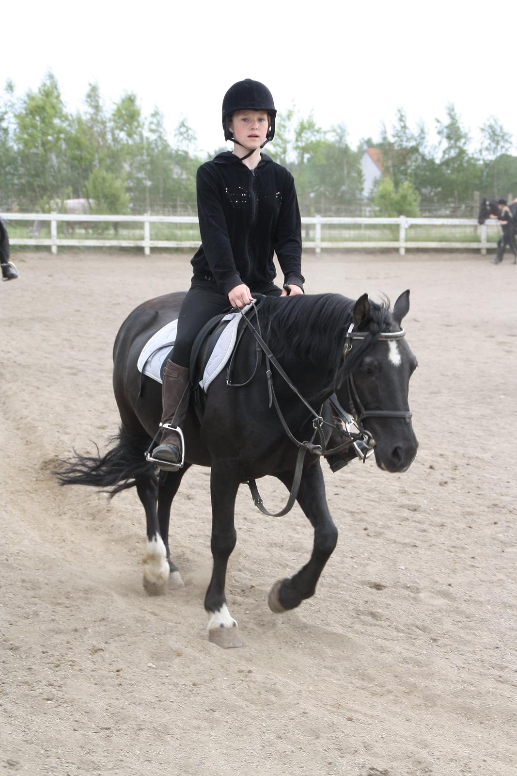 Tømmerup Sportsrideklub billede 55