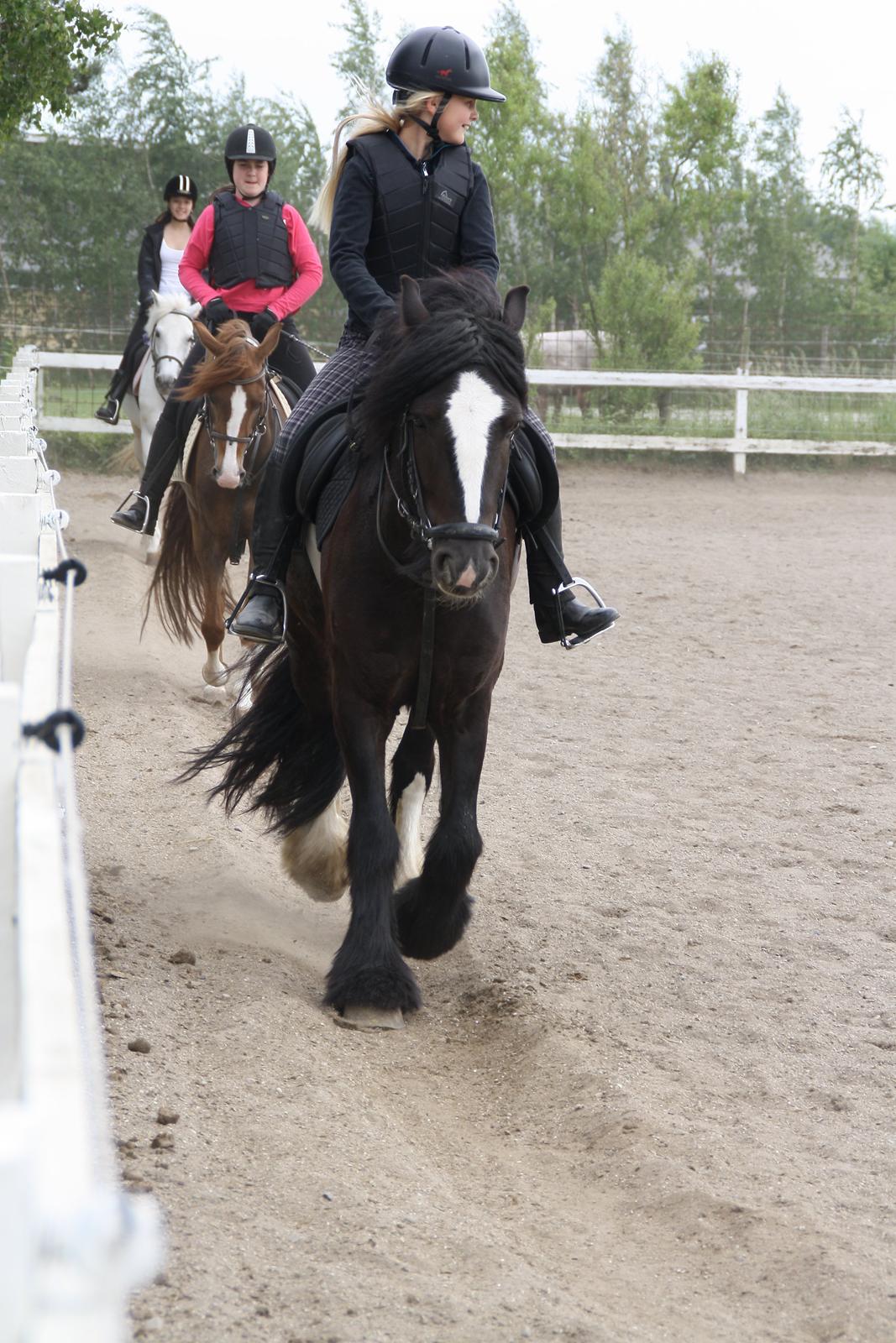 Tømmerup Sportsrideklub billede 56