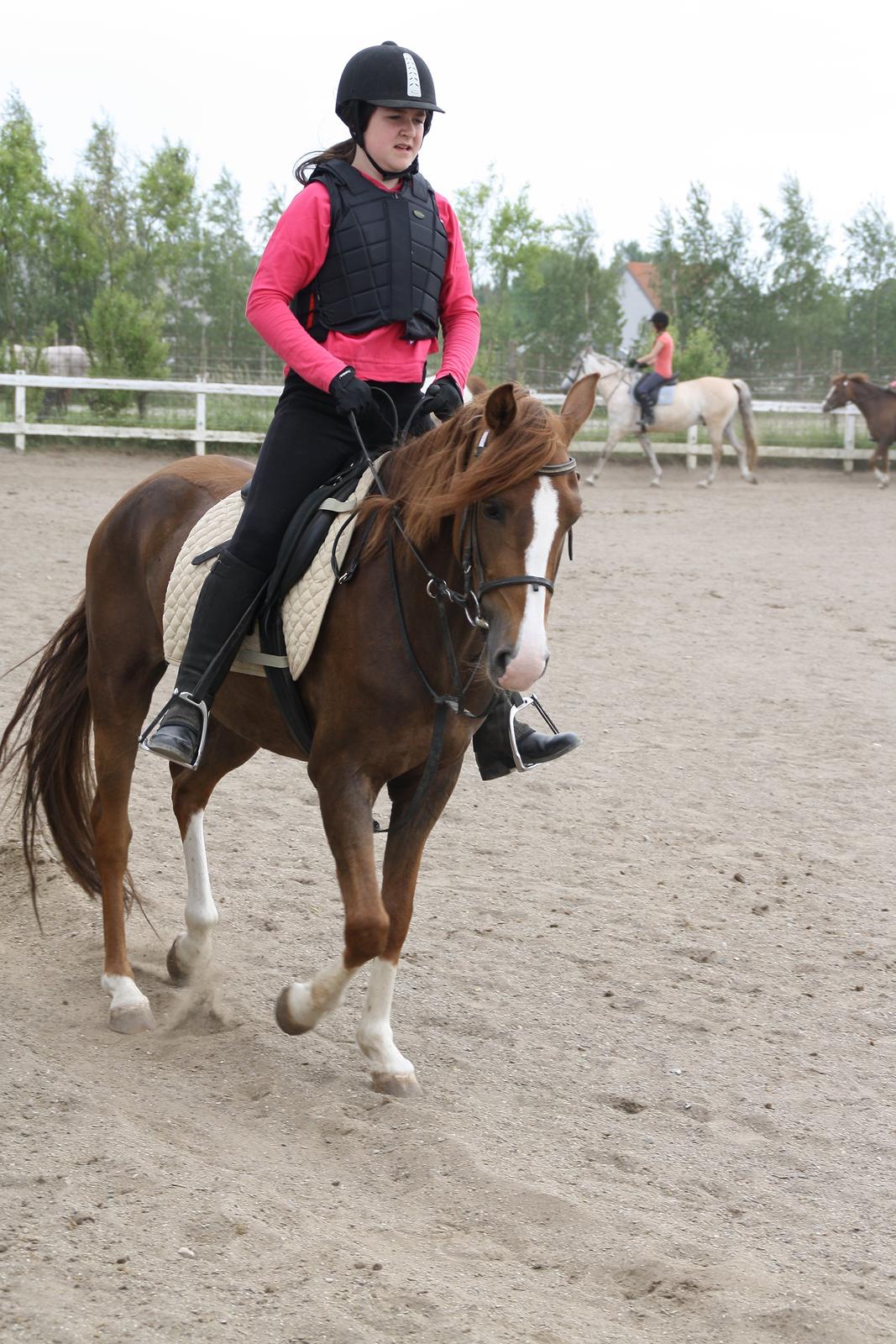 Tømmerup Sportsrideklub billede 57