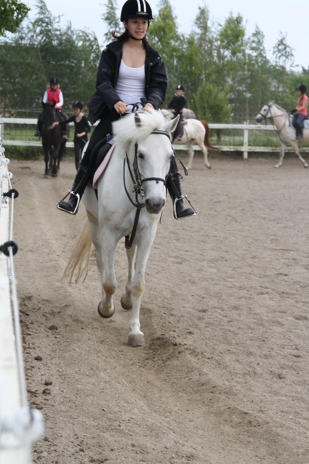 Tømmerup Sportsrideklub billede 58