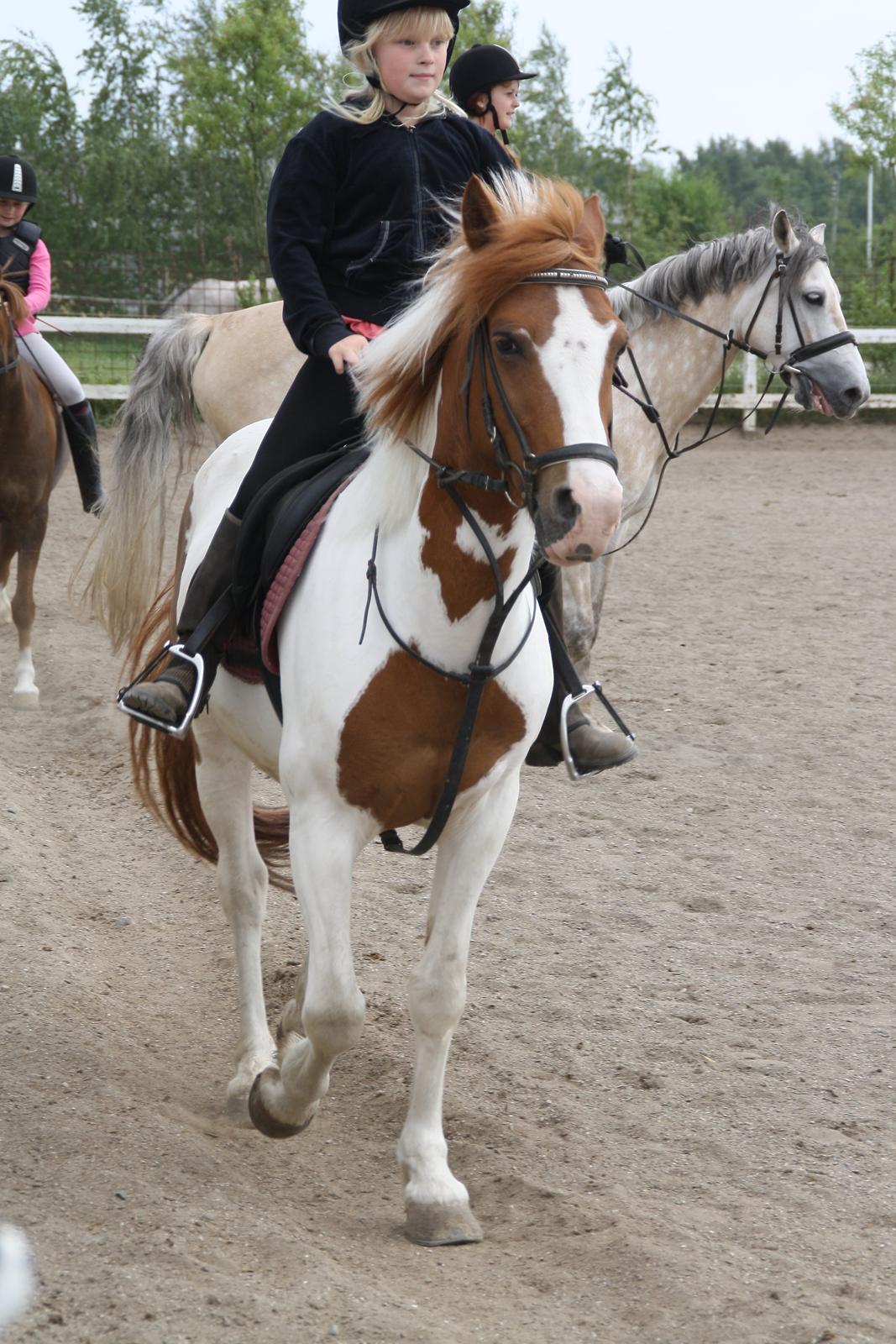 Tømmerup Sportsrideklub billede 60