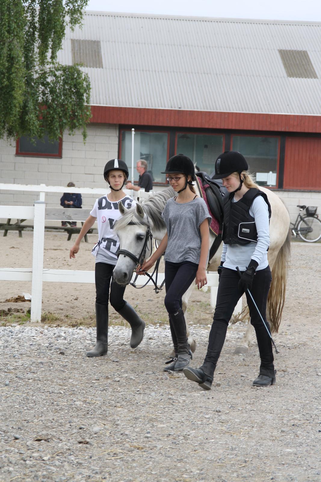 Tømmerup Sportsrideklub billede 62