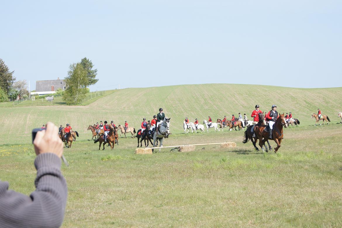Jagt i syddjurs rideklub maj 2011 billede 2