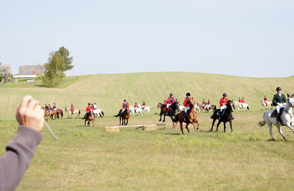 Jagt i syddjurs rideklub maj 2011 billede 3