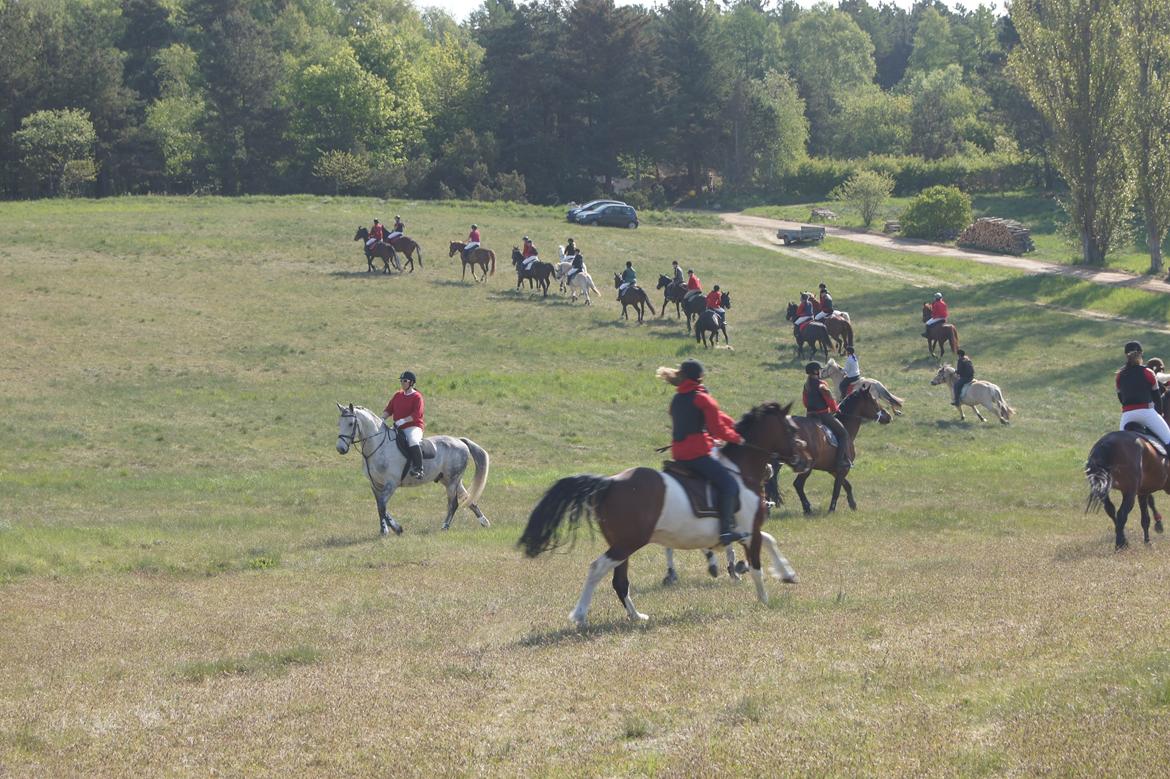 Jagt i syddjurs rideklub maj 2011 billede 4