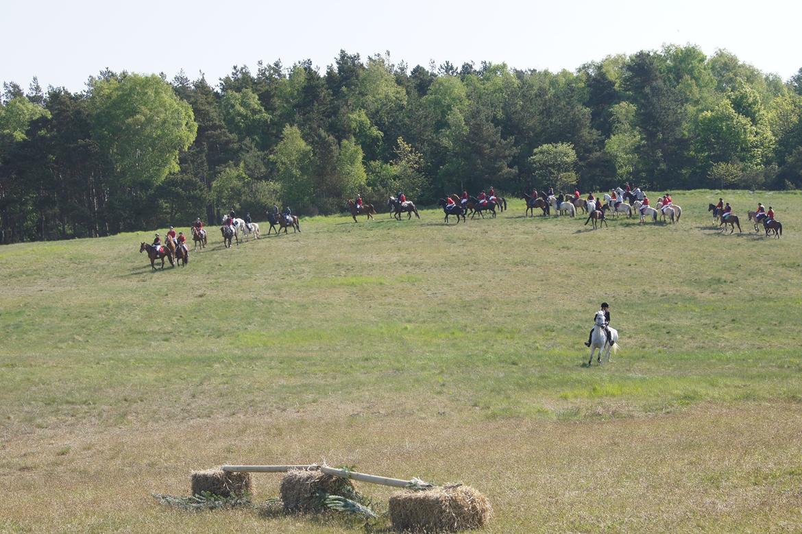 Jagt i syddjurs rideklub maj 2011 billede 5
