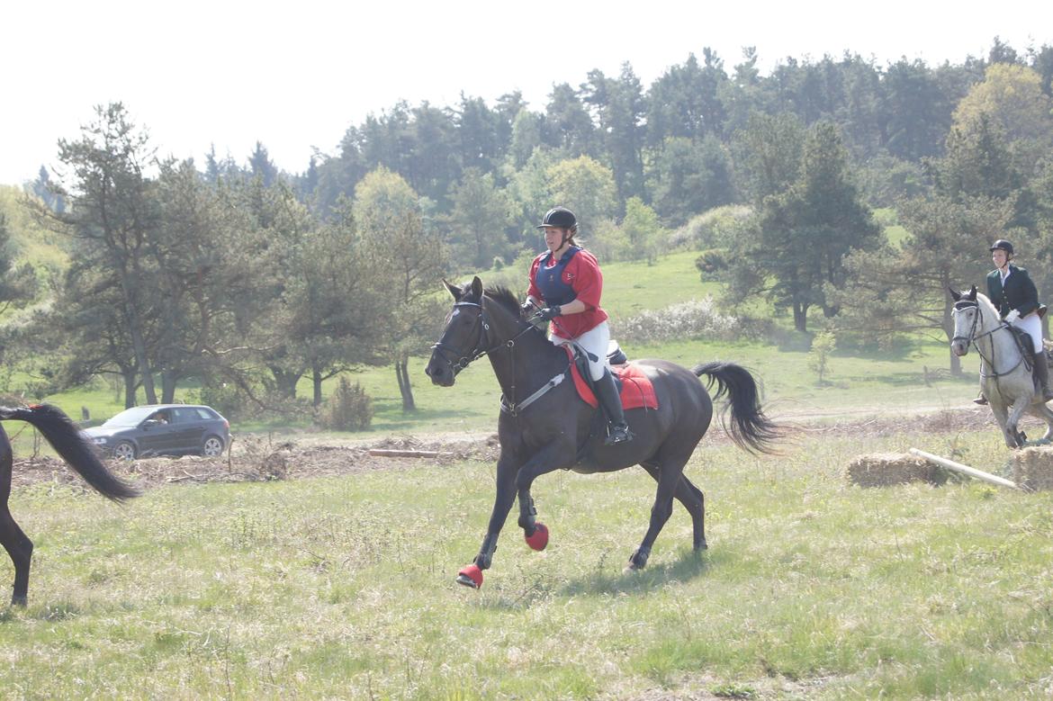 Jagt i syddjurs rideklub maj 2011 billede 8