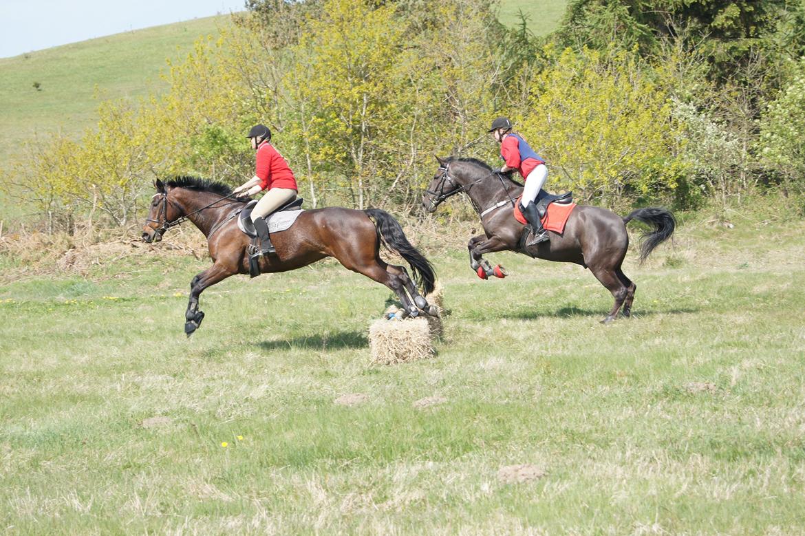 Jagt i syddjurs rideklub maj 2011 billede 9