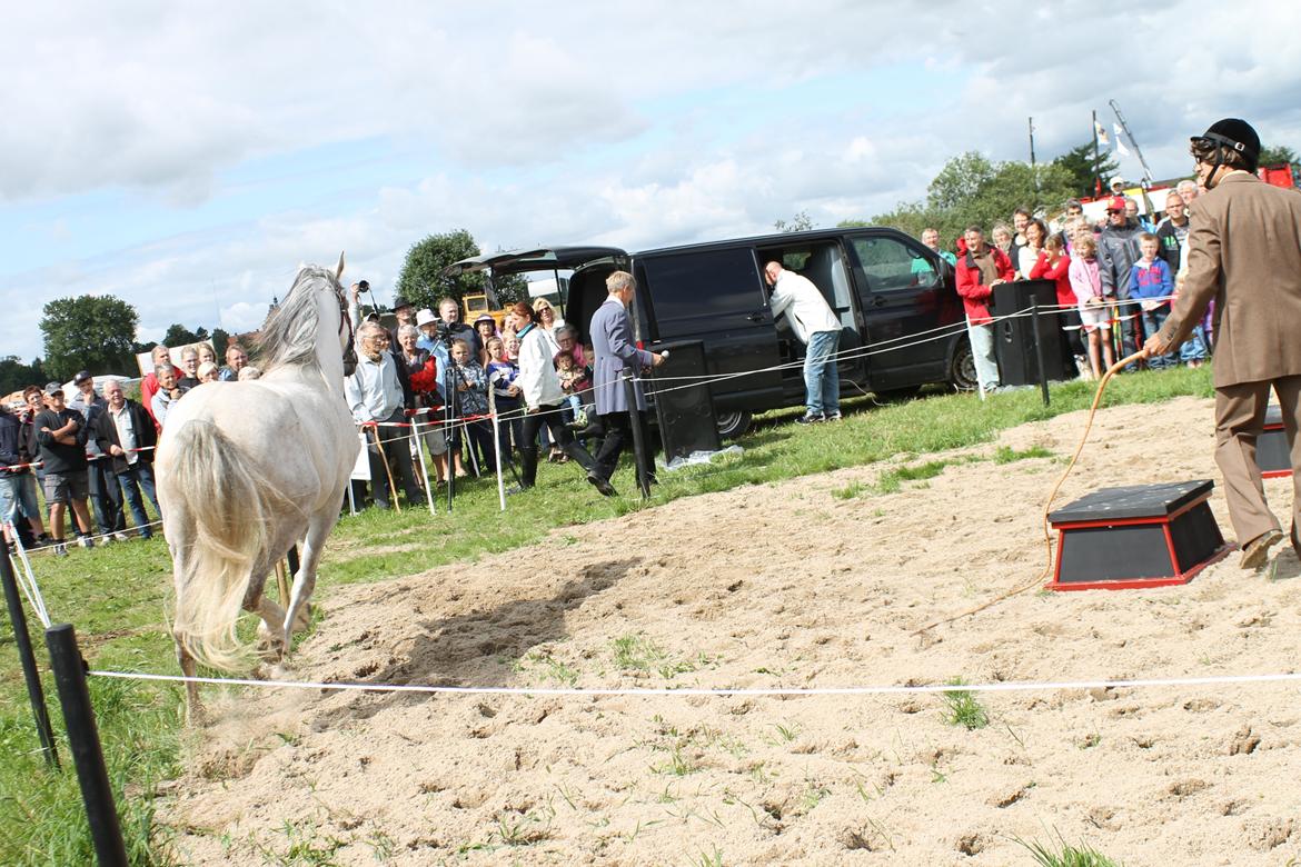 Ørbæk Marked The Schumanns billede 3