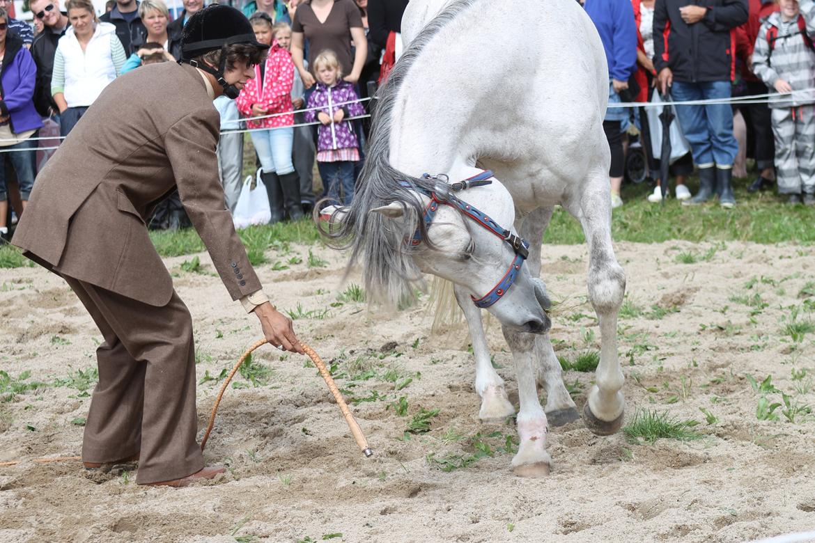 Ørbæk Marked The Schumanns billede 5
