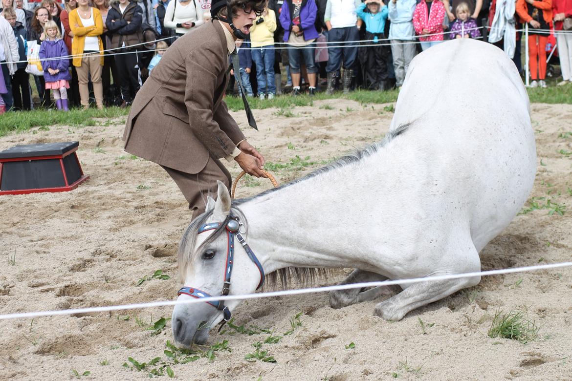 Ørbæk Marked The Schumanns billede 6