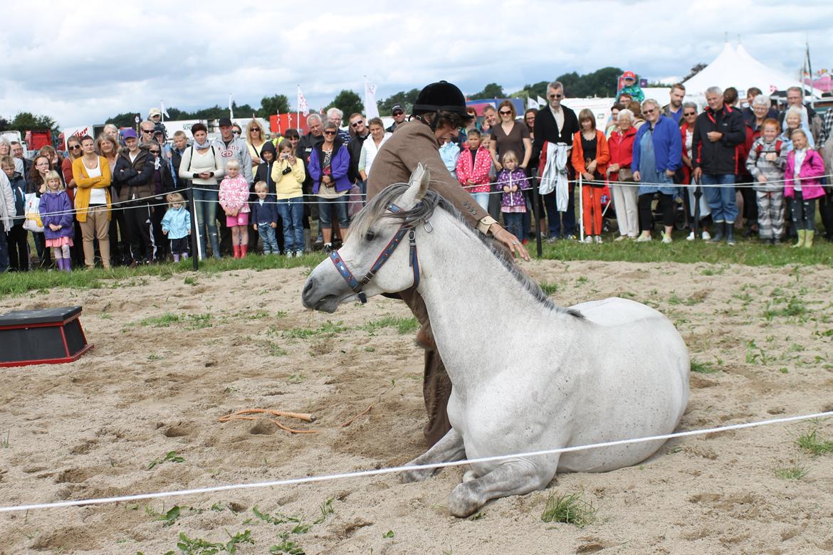 Ørbæk Marked The Schumanns billede 7
