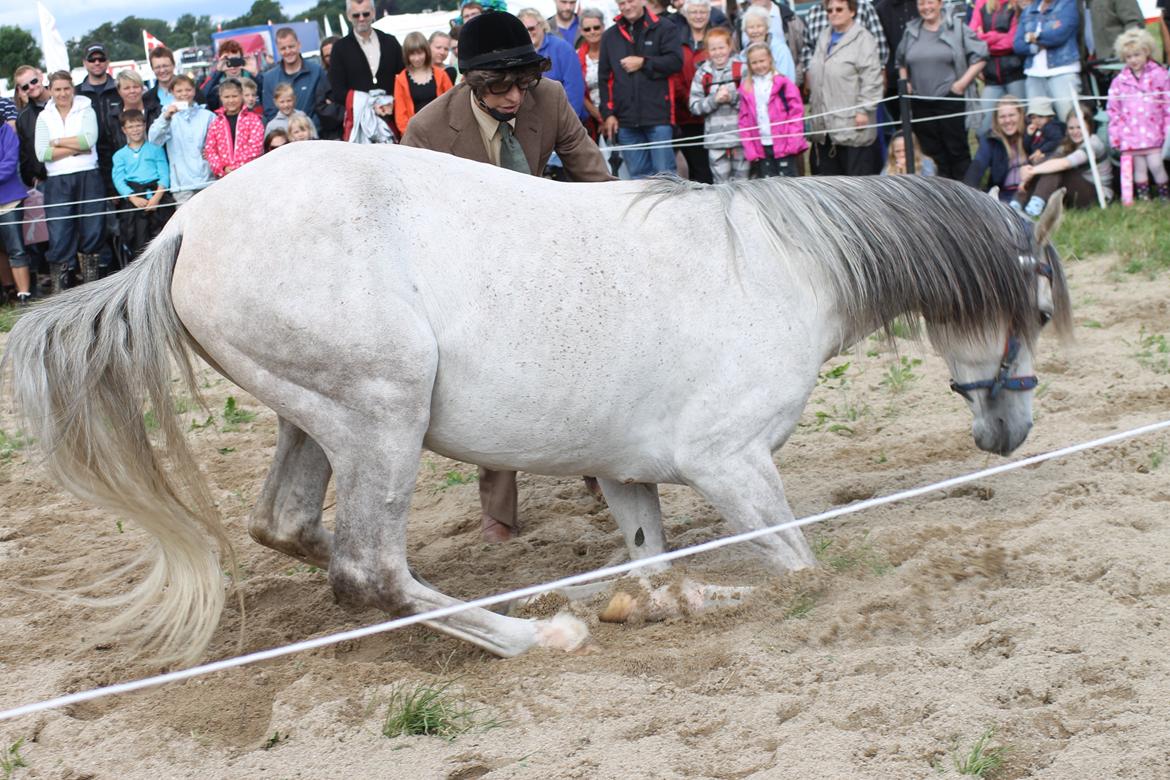 Ørbæk Marked The Schumanns billede 8