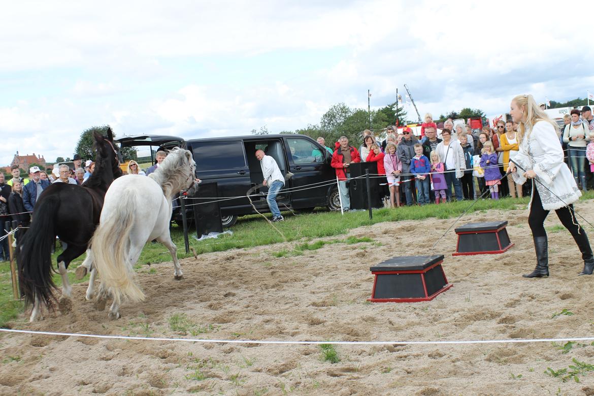 Ørbæk Marked The Schumanns billede 11