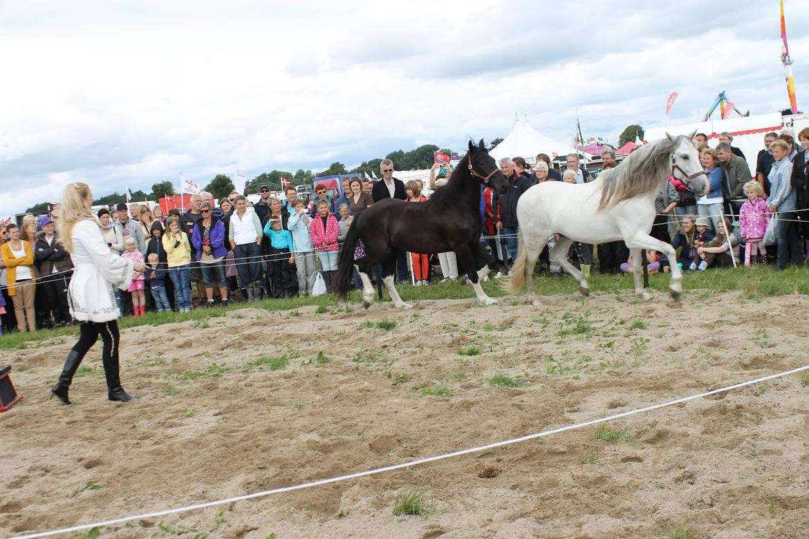 Ørbæk Marked The Schumanns billede 12