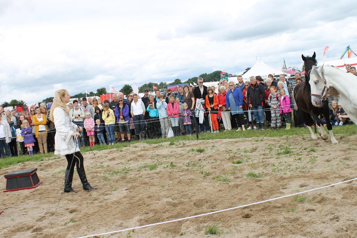 Ørbæk Marked The Schumanns billede 14