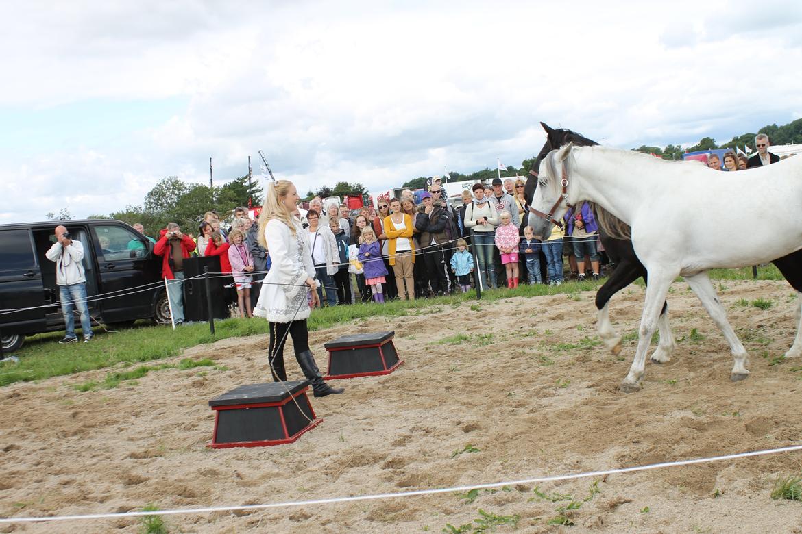 Ørbæk Marked The Schumanns billede 15