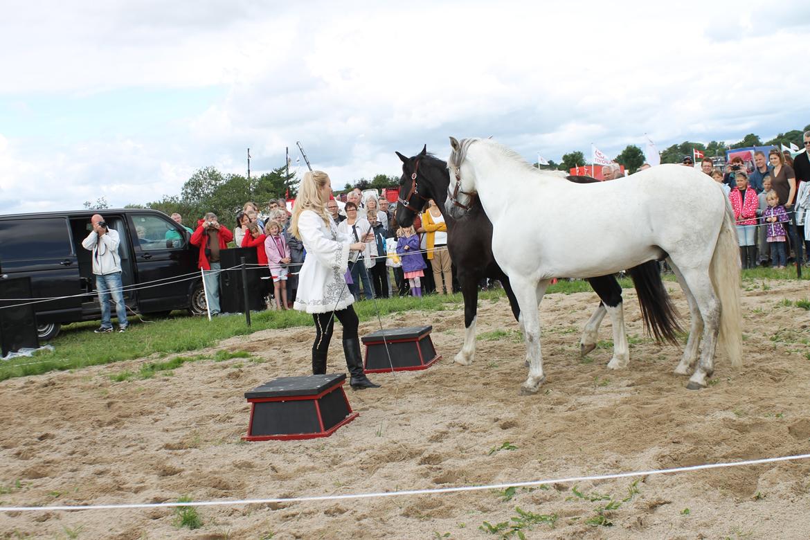 Ørbæk Marked The Schumanns billede 16