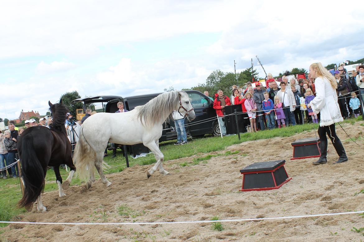 Ørbæk Marked The Schumanns billede 17