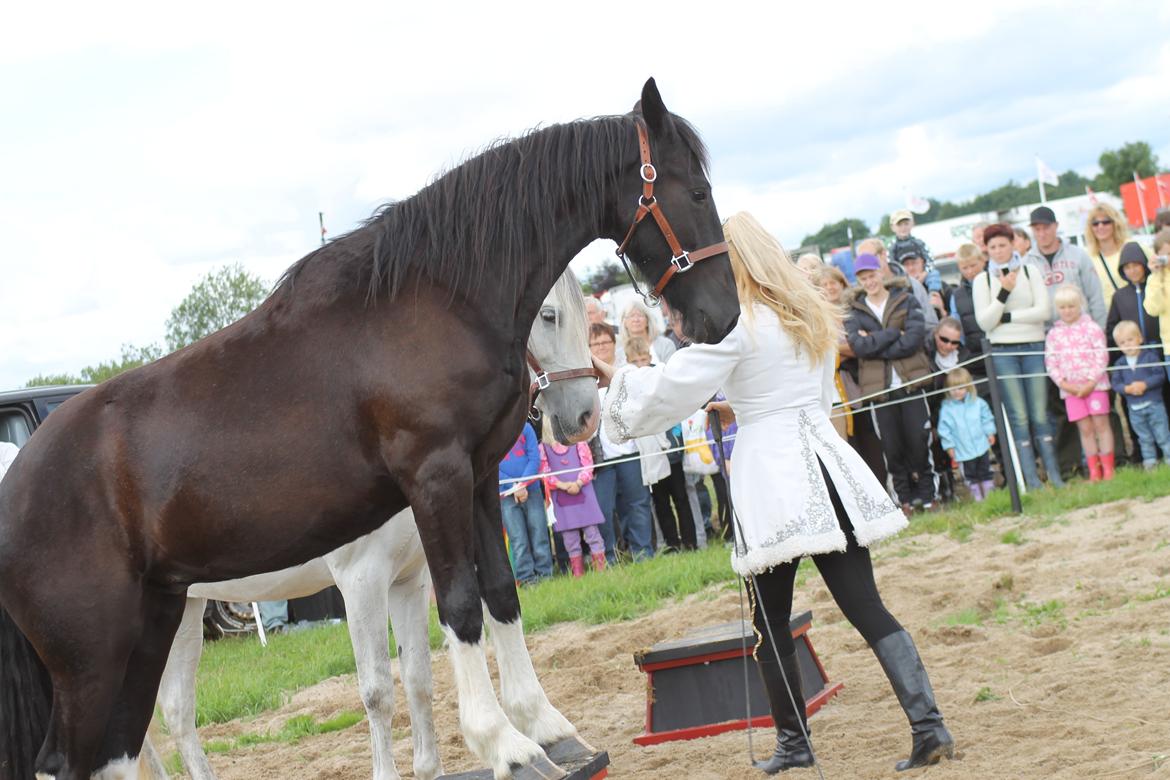 Ørbæk Marked The Schumanns billede 19