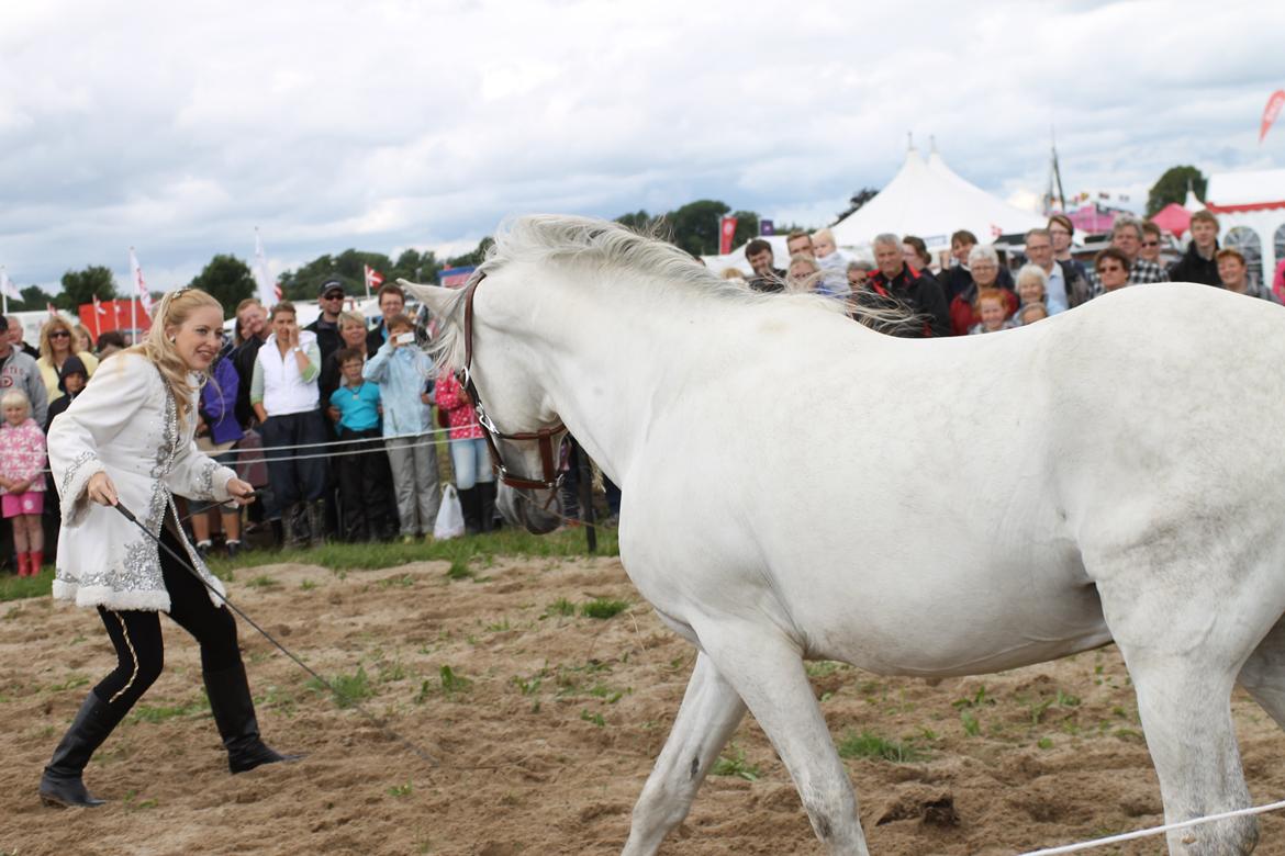 Ørbæk Marked The Schumanns billede 22
