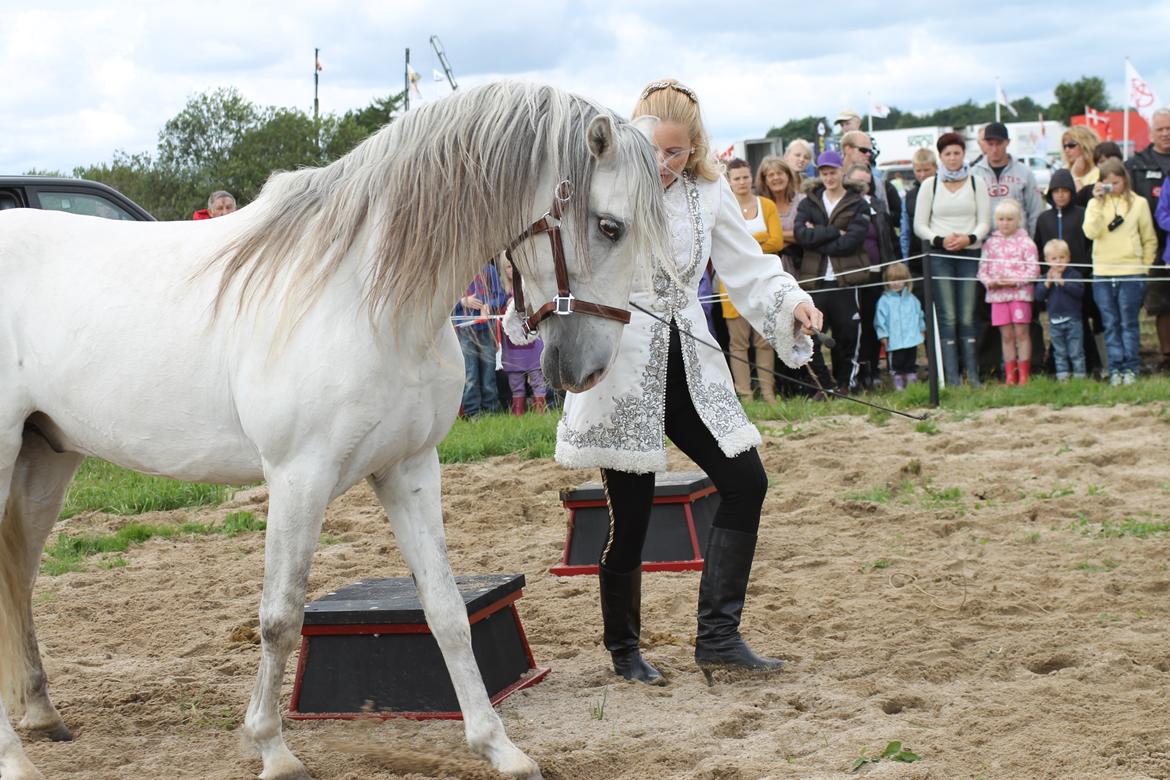 Ørbæk Marked The Schumanns billede 24