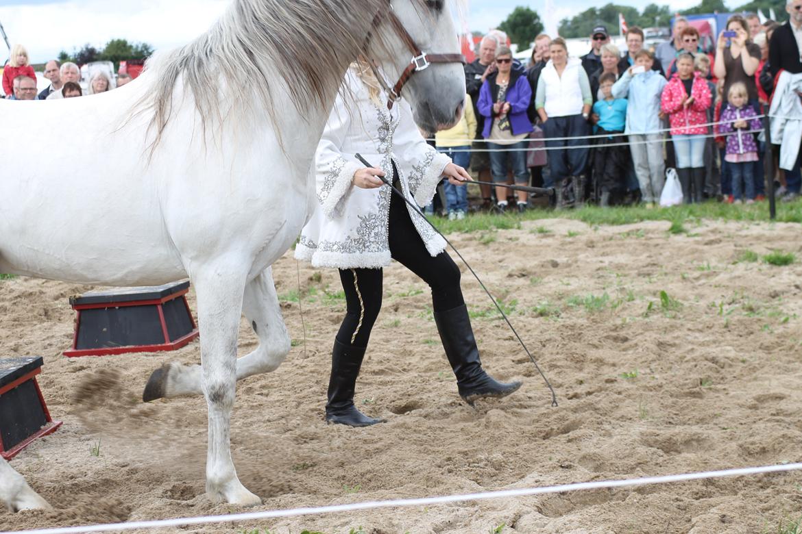Ørbæk Marked The Schumanns billede 26