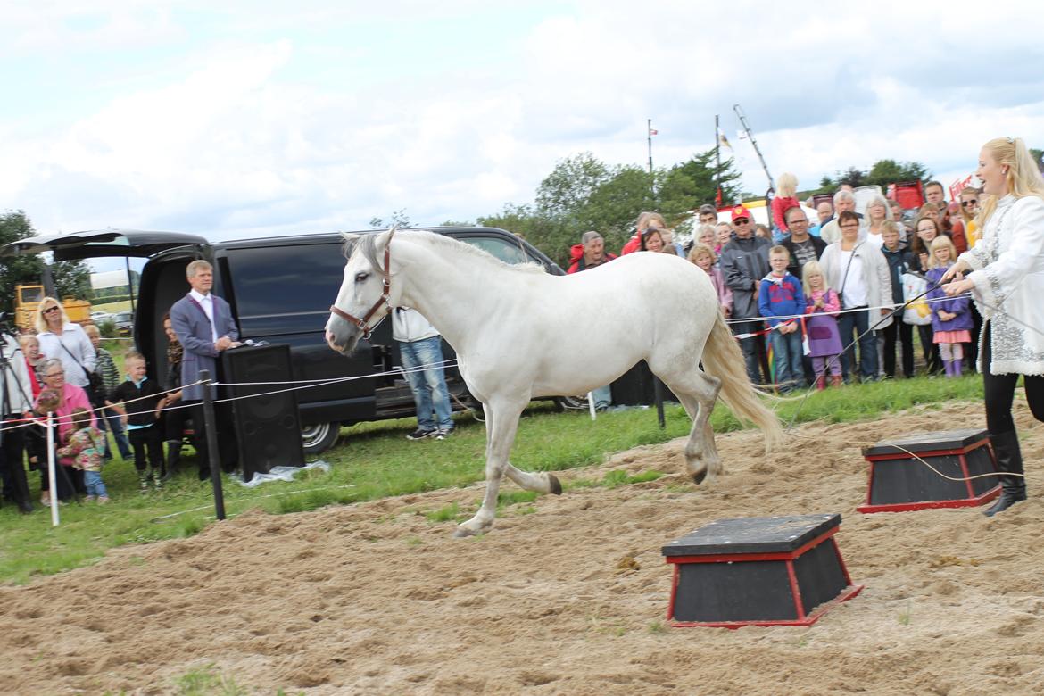 Ørbæk Marked The Schumanns billede 27
