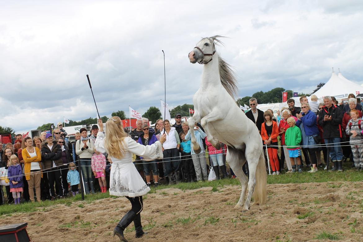 Ørbæk Marked The Schumanns billede 29