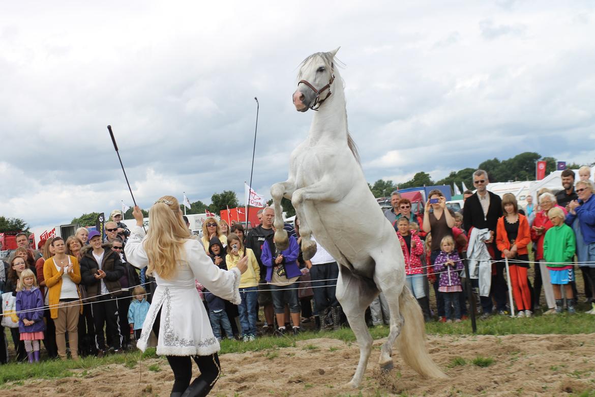 Ørbæk Marked The Schumanns billede 30