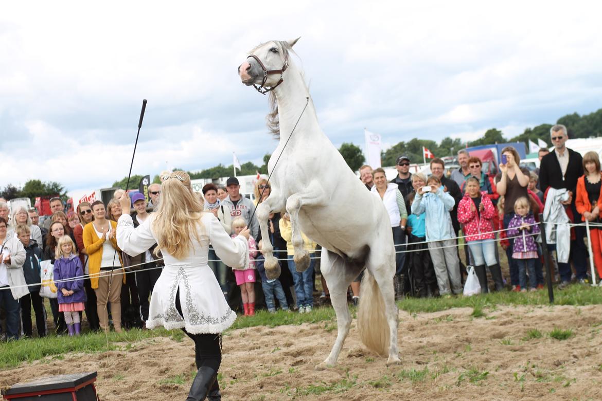 Ørbæk Marked The Schumanns billede 32