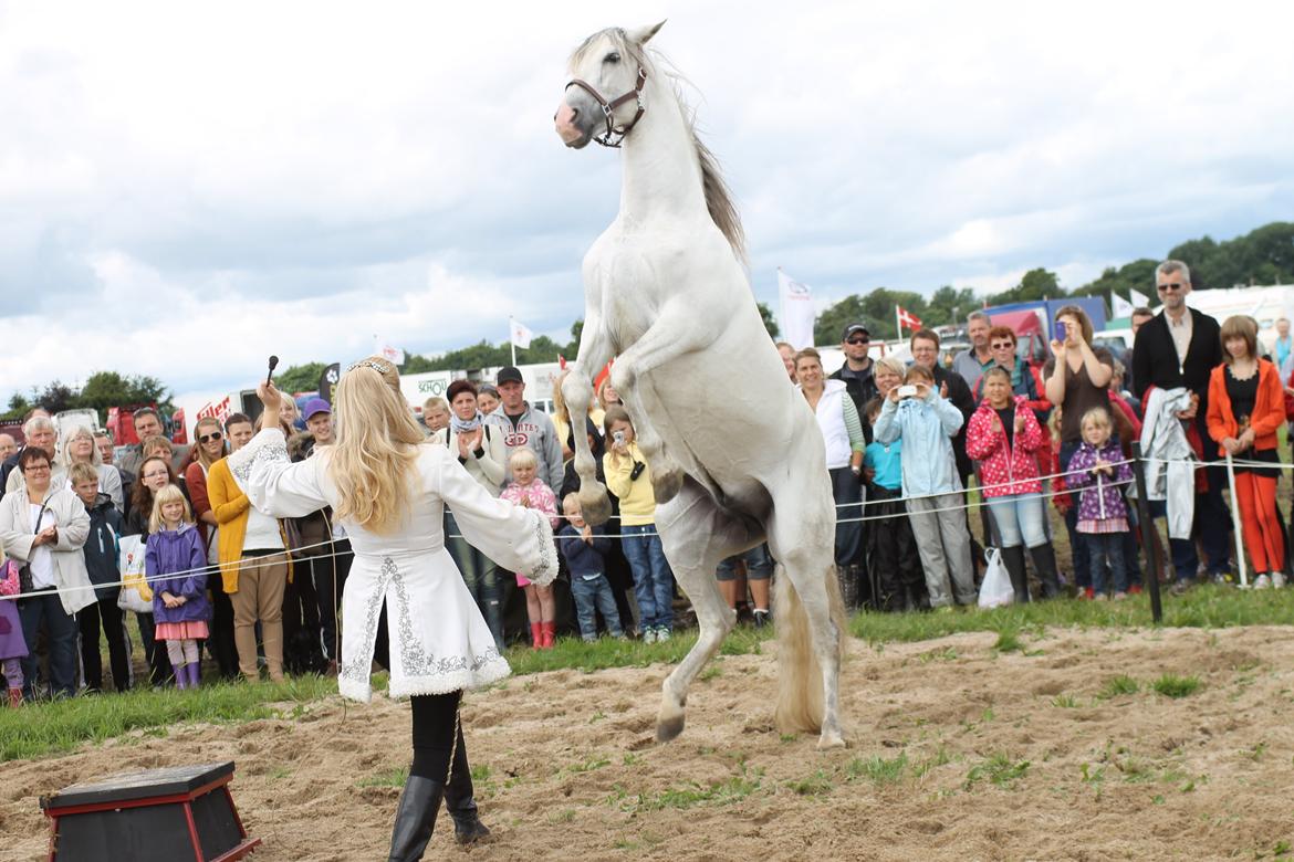 Ørbæk Marked The Schumanns billede 33