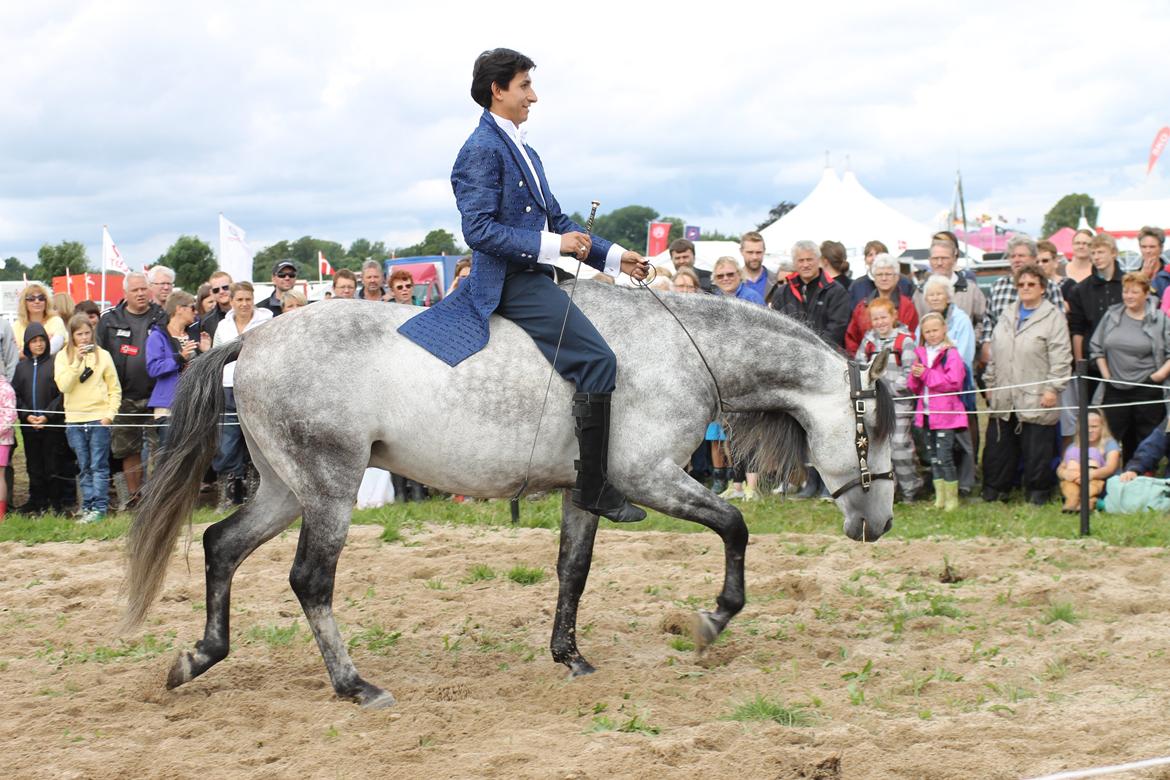 Ørbæk Marked The Schumanns billede 35