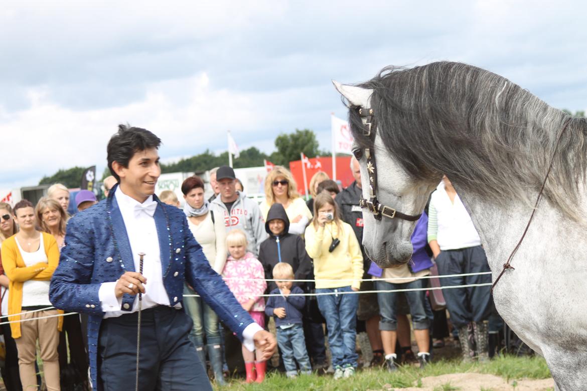 Ørbæk Marked The Schumanns billede 38