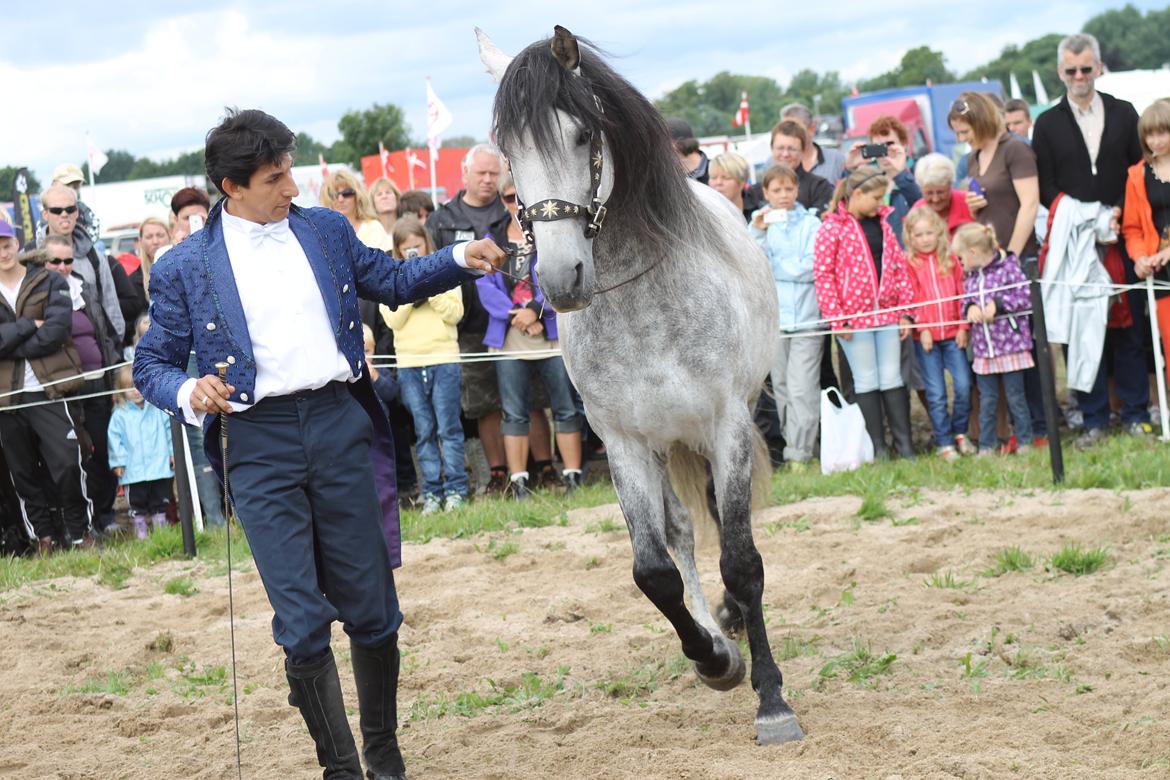 Ørbæk Marked The Schumanns billede 45