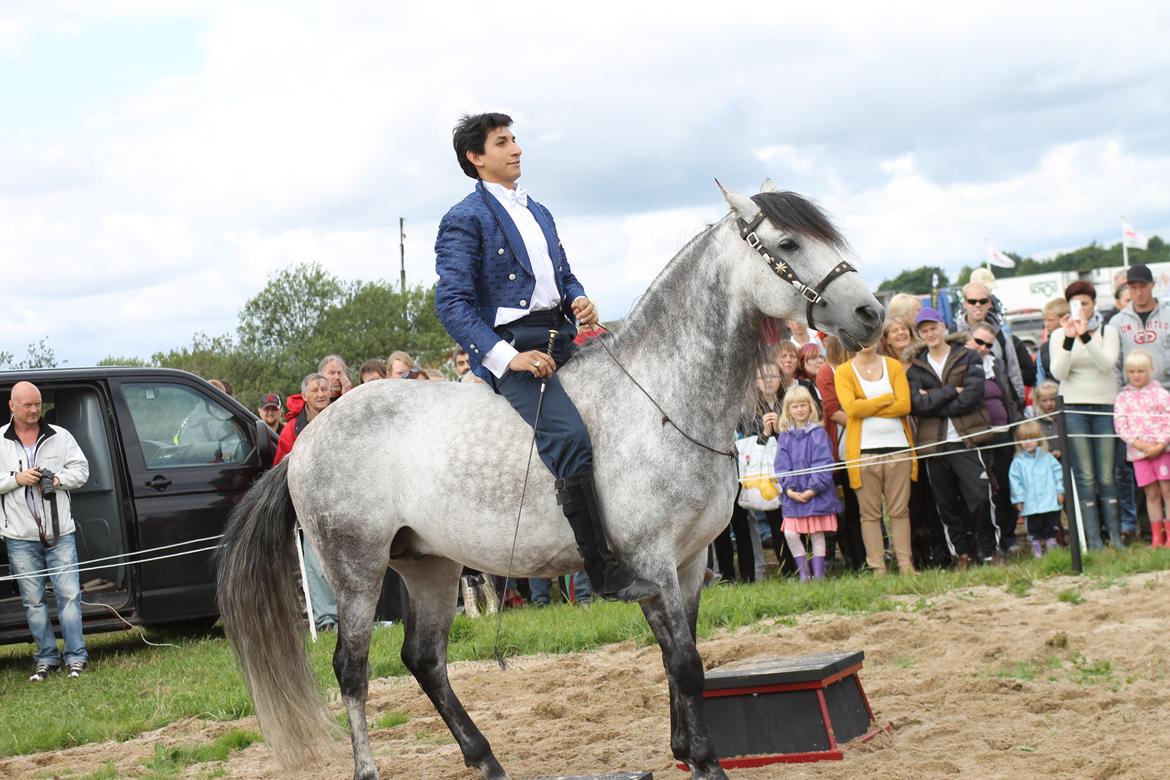 Ørbæk Marked The Schumanns billede 48