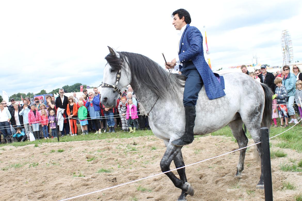 Ørbæk Marked The Schumanns billede 49