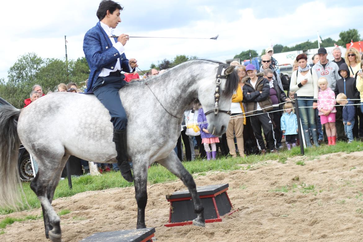 Ørbæk Marked The Schumanns billede 50