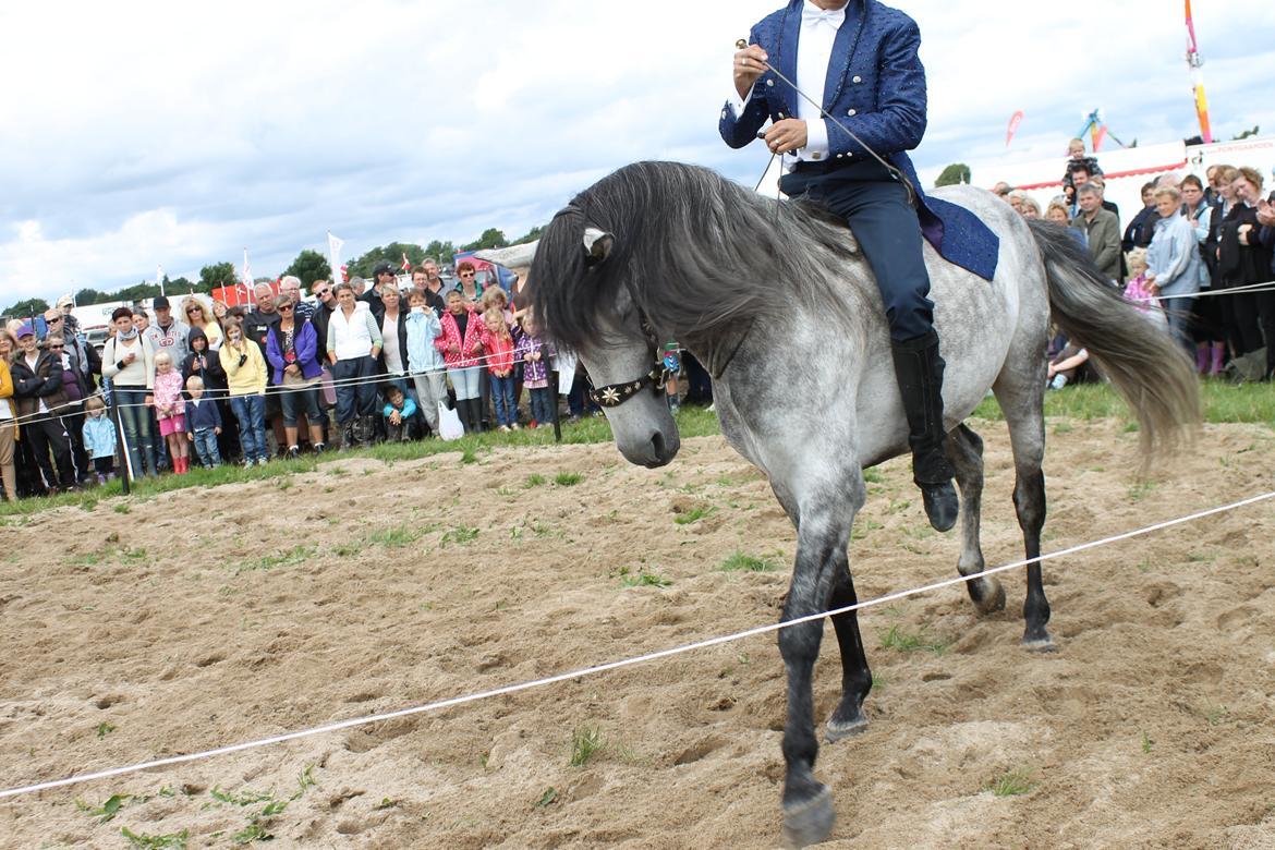 Ørbæk Marked The Schumanns billede 54