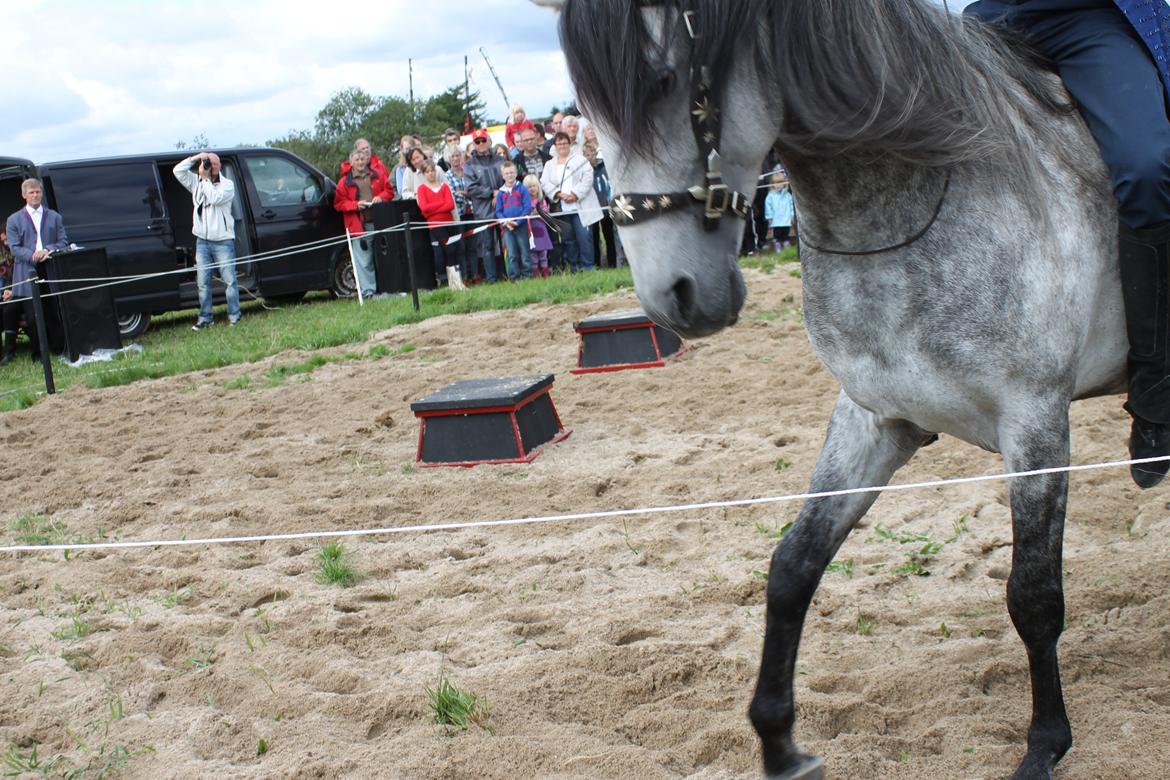 Ørbæk Marked The Schumanns billede 55