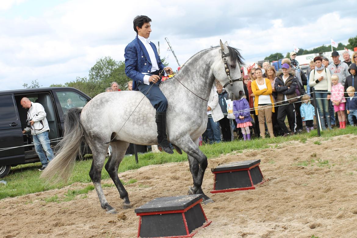 Ørbæk Marked The Schumanns - Går på stedet :) billede 57